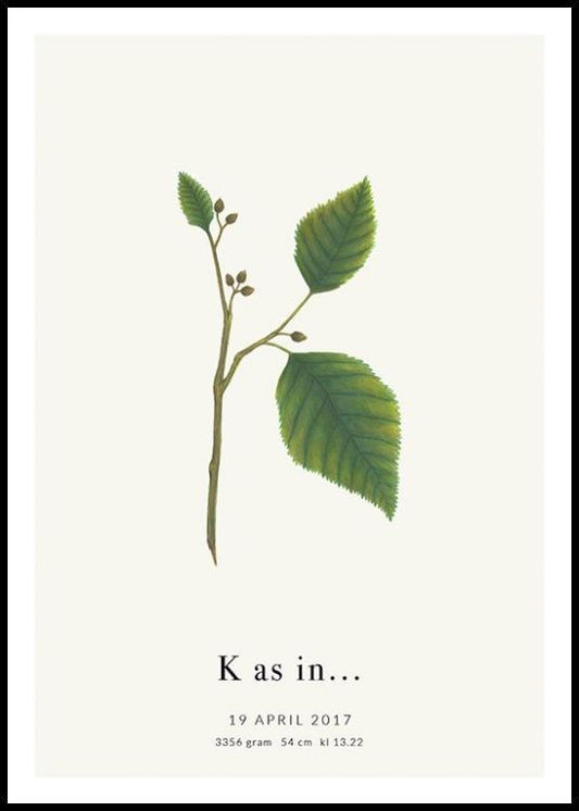 Botanic Letter K Personal Poster