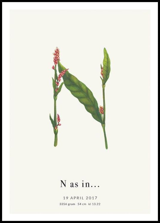 Botanic Letter N Personal Poster