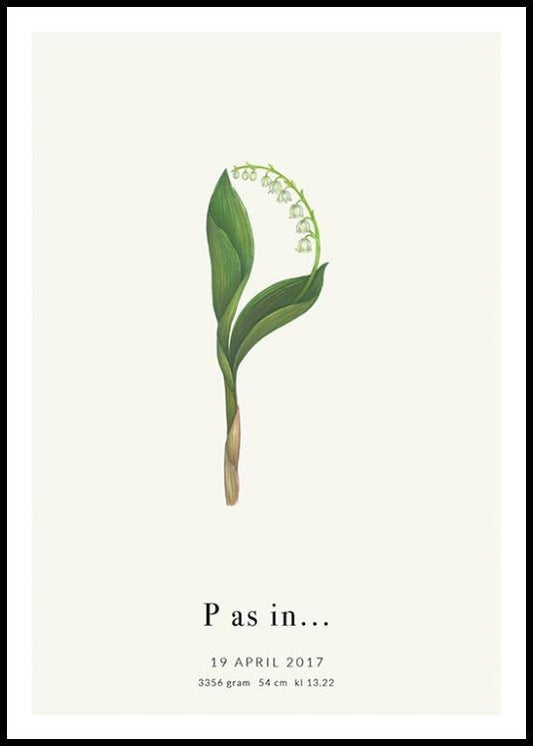Botanic Letter P Personal Poster