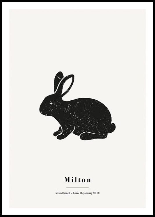 My Pet Rabbit Personal Poster