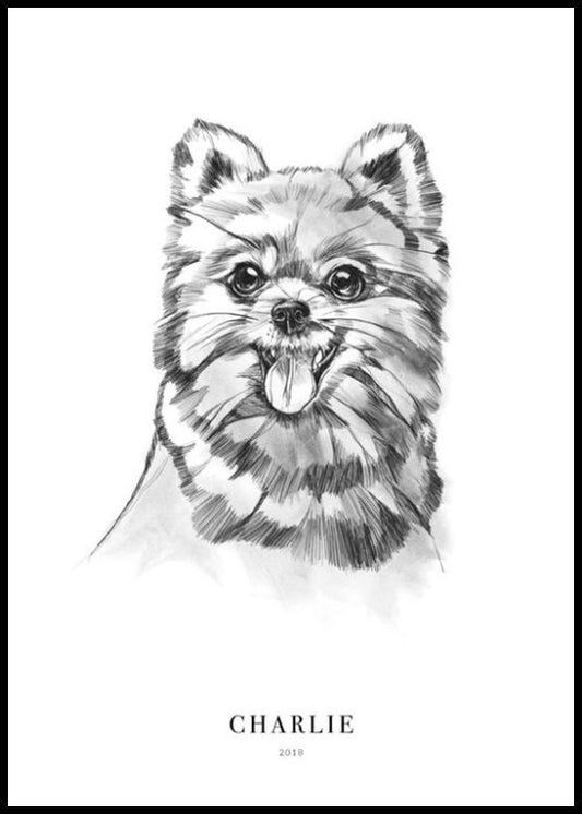 Pomeranian Dog Personal Poster