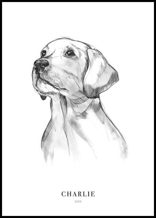 Retriever Dog Personal Poster