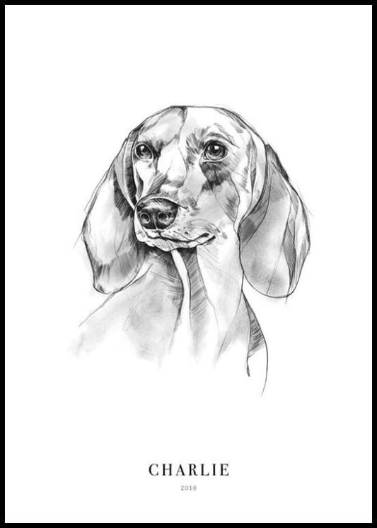 Dachshund Dog Personal Poster
