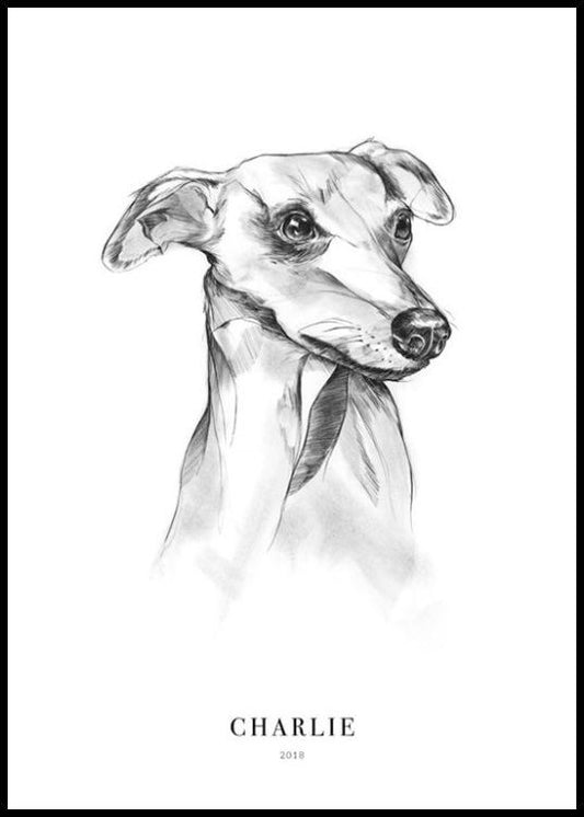 Whippet Dog Personal Poster