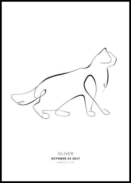 My Cat Ragdoll Personal Poster