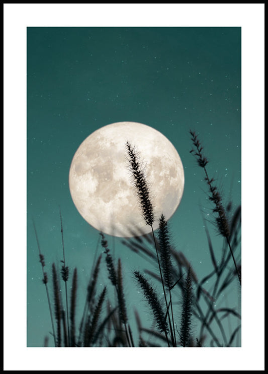 Watercolor wild grass and full moon poster for nursery and home wall decor.