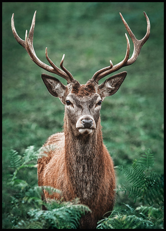 Watercolor majestic stag poster for nursery and home wall decor.