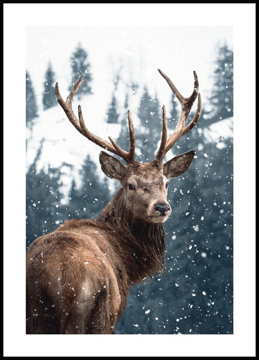 Watercolor red deer in snow poster for nursery and home wall decor.
