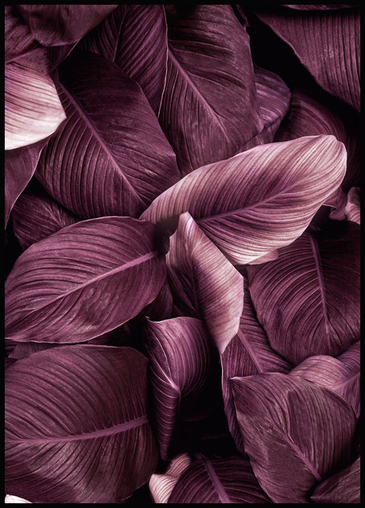 Watercolor purple leaves no2 poster for nursery and home wall decor.