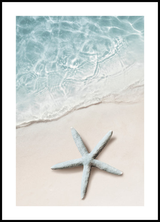 Blue Sea Star Poster