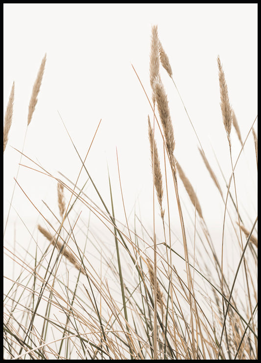 Watercolor swaying reeds poster for nursery and home wall decor.