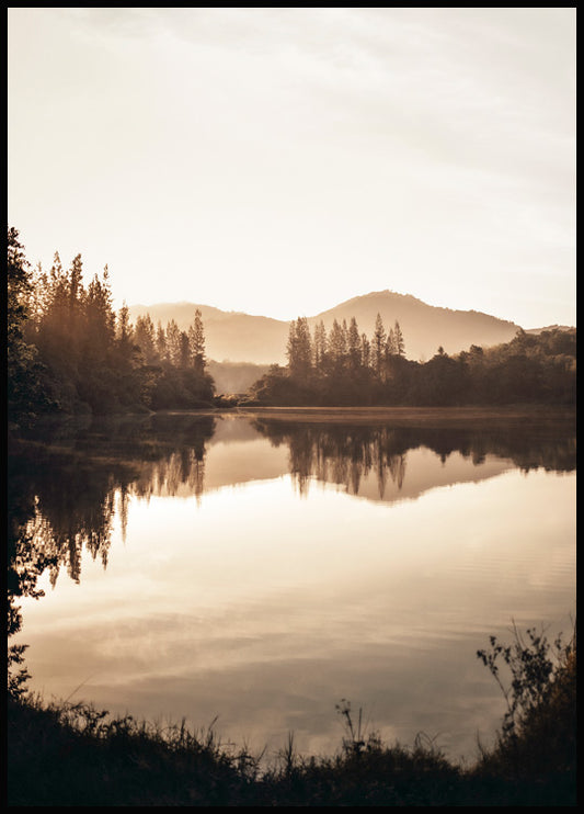 Misty Morning Lake Poster