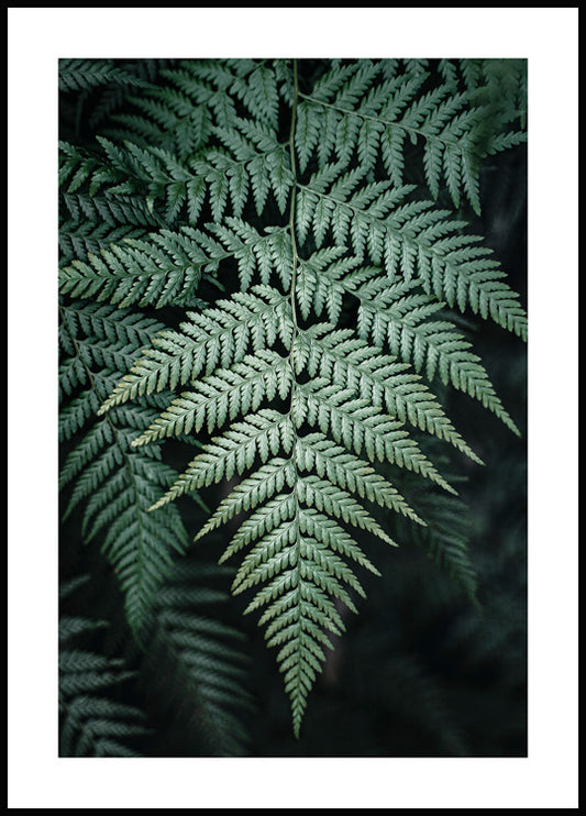 Watercolor wild fern poster for nursery and home wall decor.