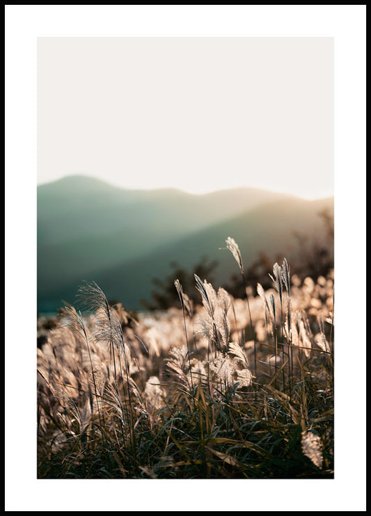 Watercolor sunlight grass poster for nursery and home wall decor.