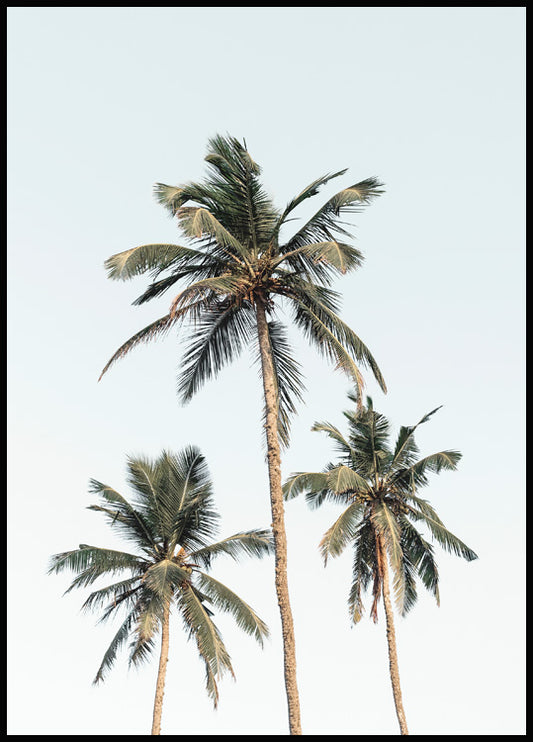 Watercolor palm sky poster for nursery and home wall decor.