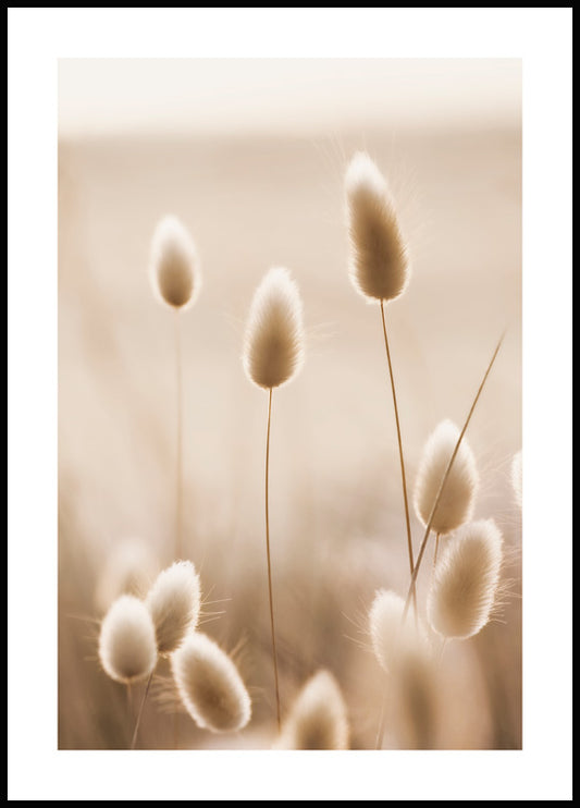 Watercolor bunny tail grass poster for nursery and home wall decor.