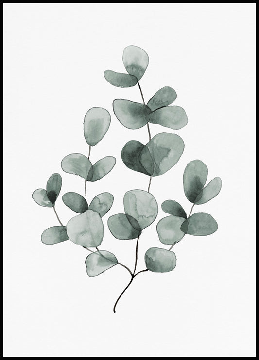 Watercolor eucalyptus no1 poster for nursery and home wall decor.
