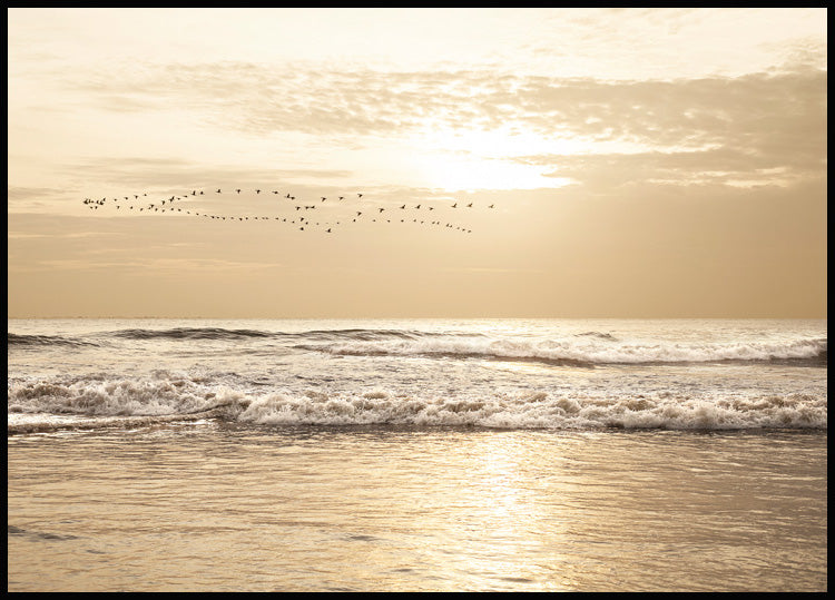 Golden Ocean Sunset Poster