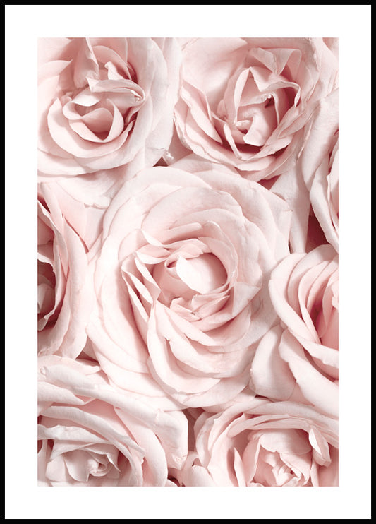 Watercolor wall of roses poster for nursery and home wall decor.