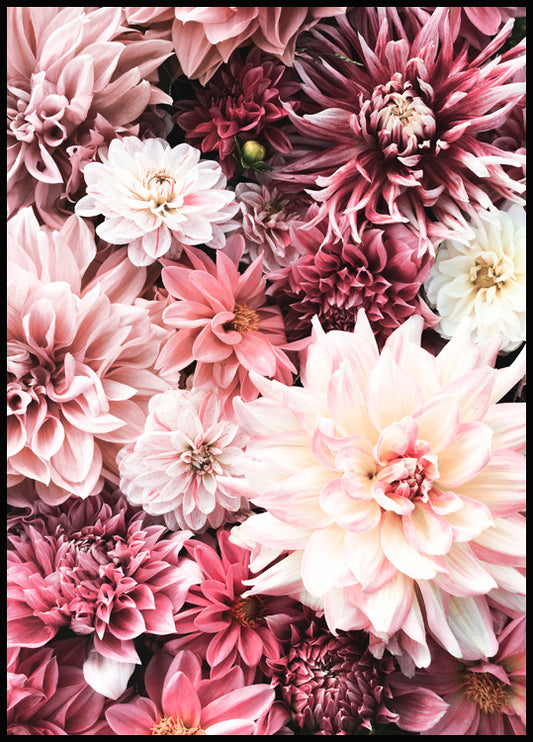 Watercolor flowers in pink poster for nursery and home wall decor.