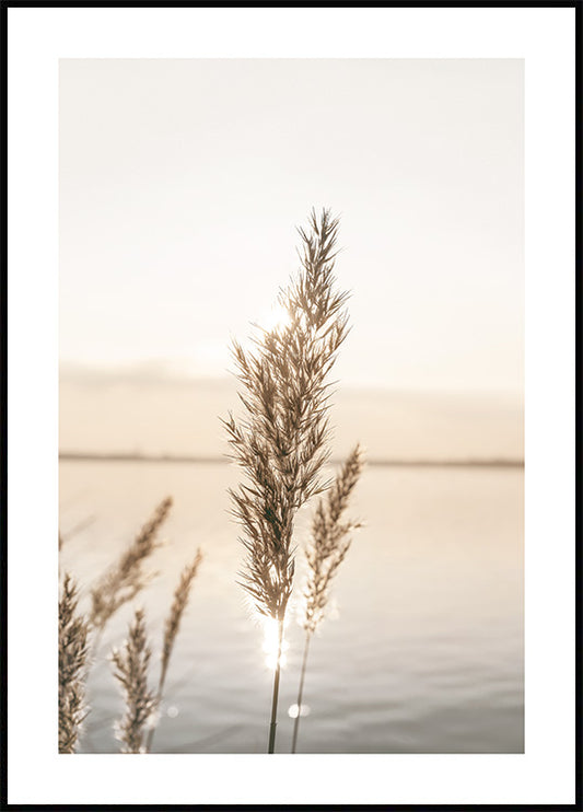 Watercolor calm reeds poster for nursery and home wall decor.