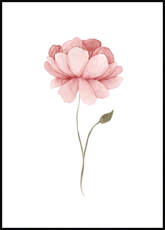 Watercolor watercolour peony poster for nursery and home wall decor.