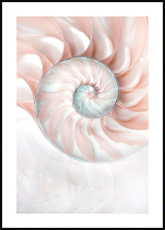 Watercolor nautilus shell poster for nursery and home wall decor.