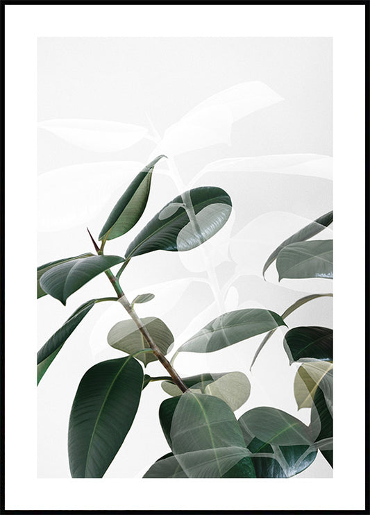 Watercolor plant shades poster for nursery and home wall decor.