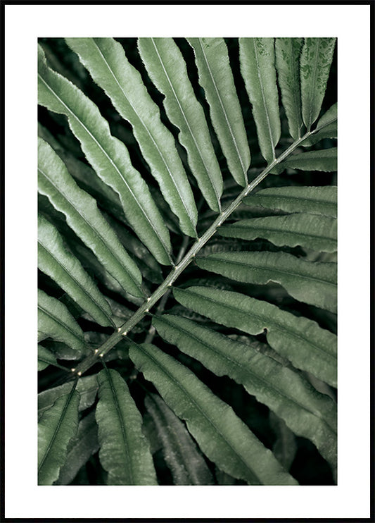 Watercolor green fern poster for nursery and home wall decor.
