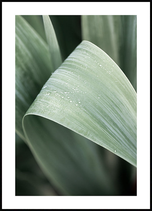 Watercolor green leaf poster for nursery and home wall decor.