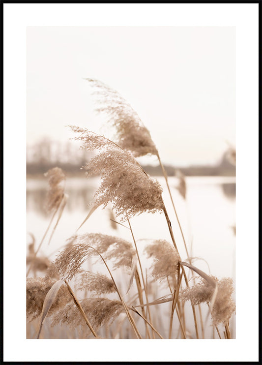 Watercolor dry soft grass poster for nursery and home wall decor.