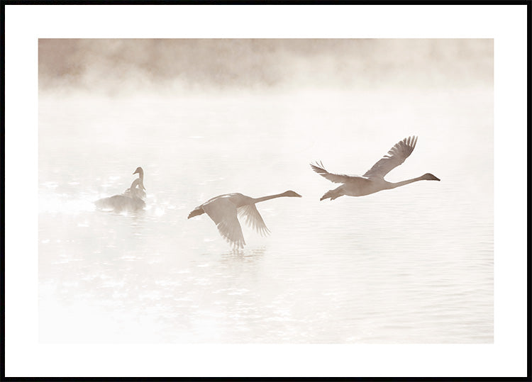 Watercolor morning swan lake poster for nursery and home wall decor.