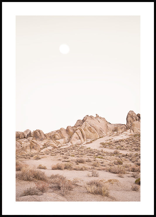 Desert Wilderness Poster