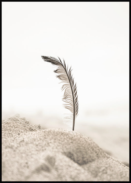 Watercolor beach feather poster for nursery and home wall decor.