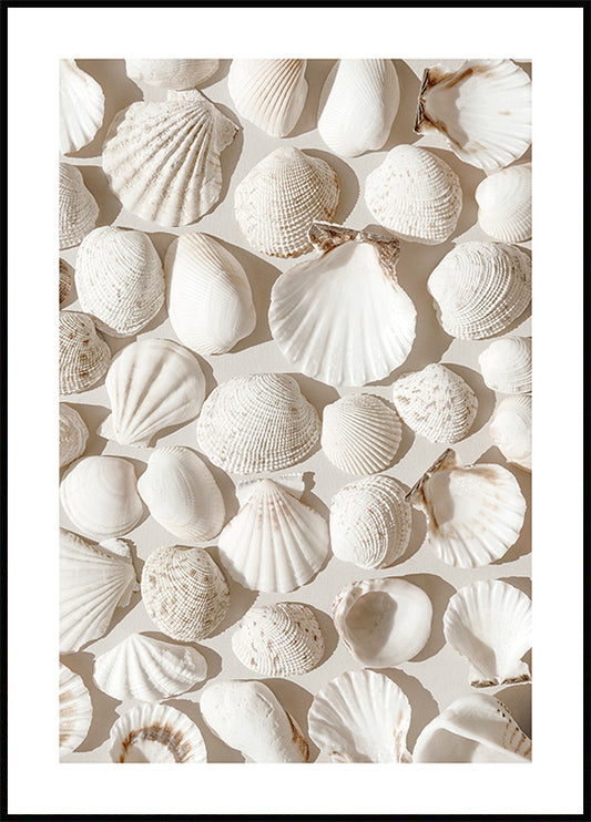 Watercolor beige shells poster for nursery and home wall decor.