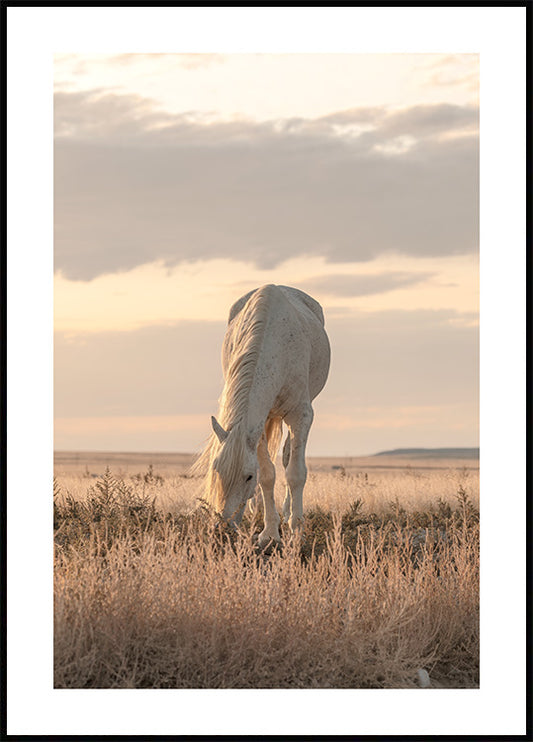 Watercolor horse in sunset poster for nursery and home wall decor.