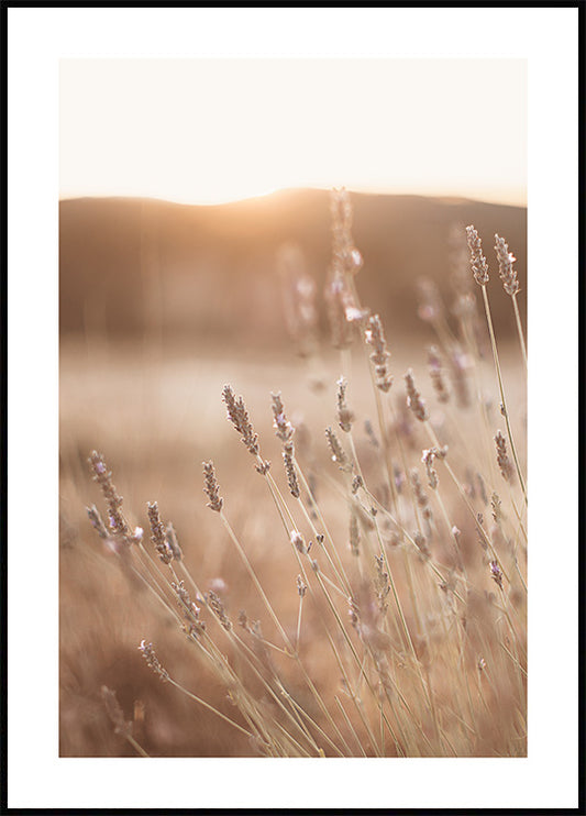 Watercolor meadow at sunset poster for nursery and home wall decor.