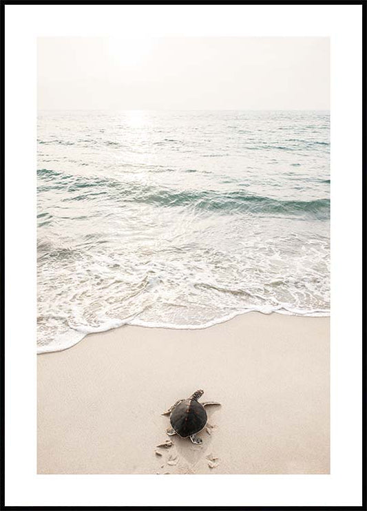 Watercolor sea turtle poster for nursery and home wall decor.