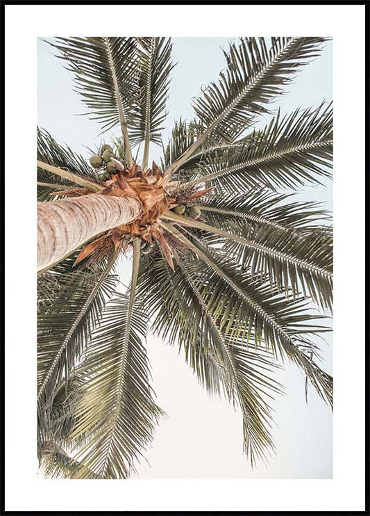Watercolor palm view poster for nursery and home wall decor.