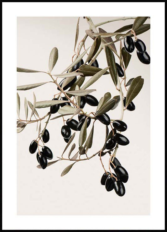 Watercolor olive branch poster for nursery and home wall decor.