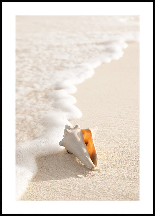 Watercolor conch shell poster for nursery and home wall decor.