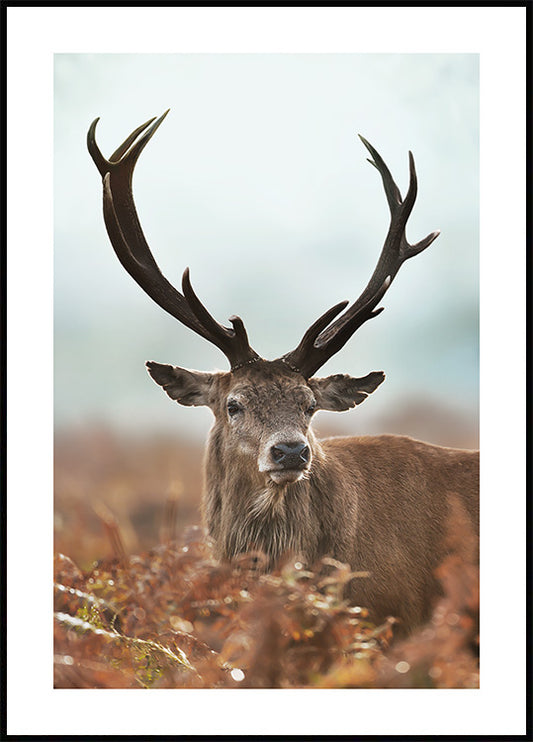 Watercolor forest stag poster for nursery and home wall decor.