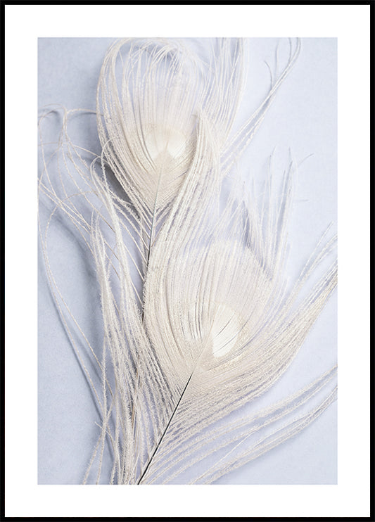 Watercolor white peacock feathers poster for nursery and home wall decor.