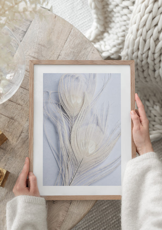 Watercolor white peacock feathers poster for nursery and home wall decor.