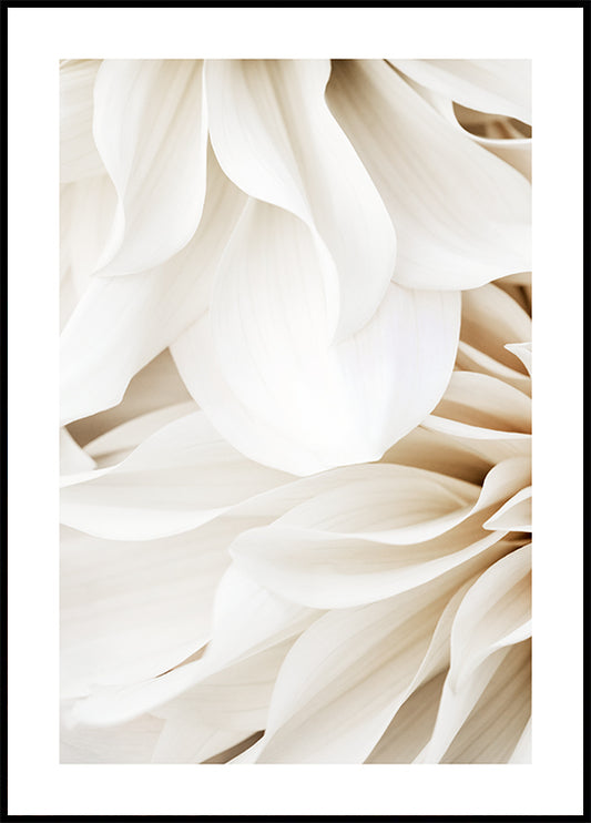 Watercolor dahlia dream no1 poster for nursery and home wall decor.