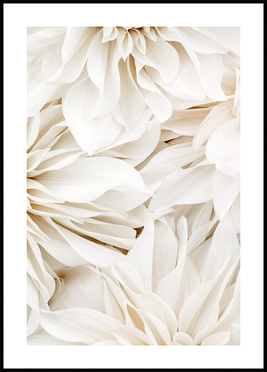 Watercolor dahlia dream no2 poster for nursery and home wall decor.