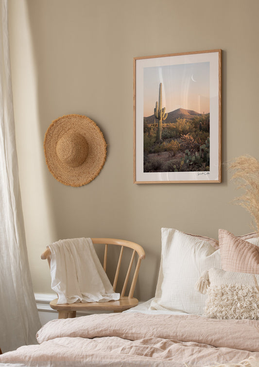 Sunset Cactus Poster