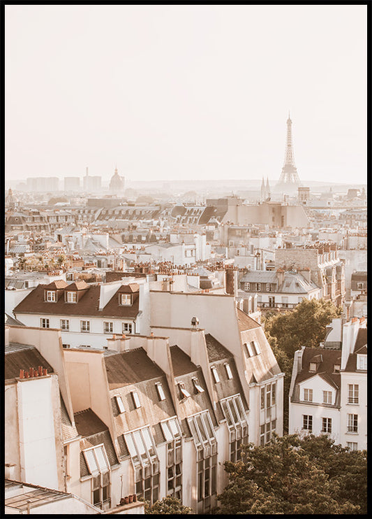 Rooftops in Paris Poster