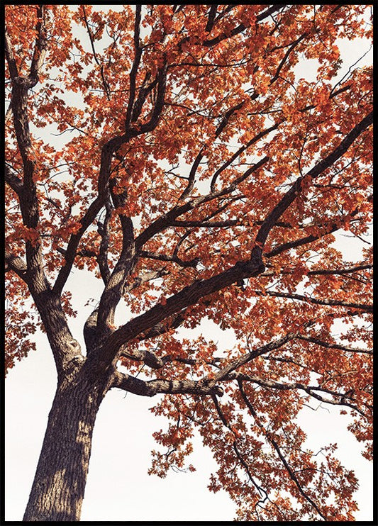 Watercolor red tree crown poster for nursery and home wall decor.