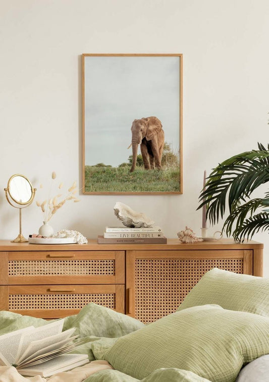 Safari Elephant Poster